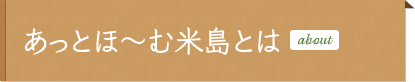 あっとほ～む米島とは