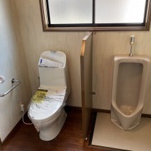 砺波市　杉木