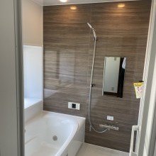 砺波市　杉木