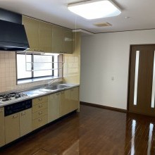 砺波市　杉木