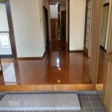 砺波市　杉木