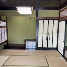 砺波市　杉木